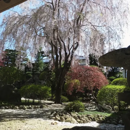 Hotel Nakamuraya
