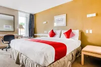 OYO Hotel Wichita Falls - Downtown Hotels in Wichita Falls