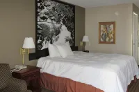 Econo Lodge Inn & Suites