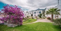 The Olive Tree Hotel Hotels in 