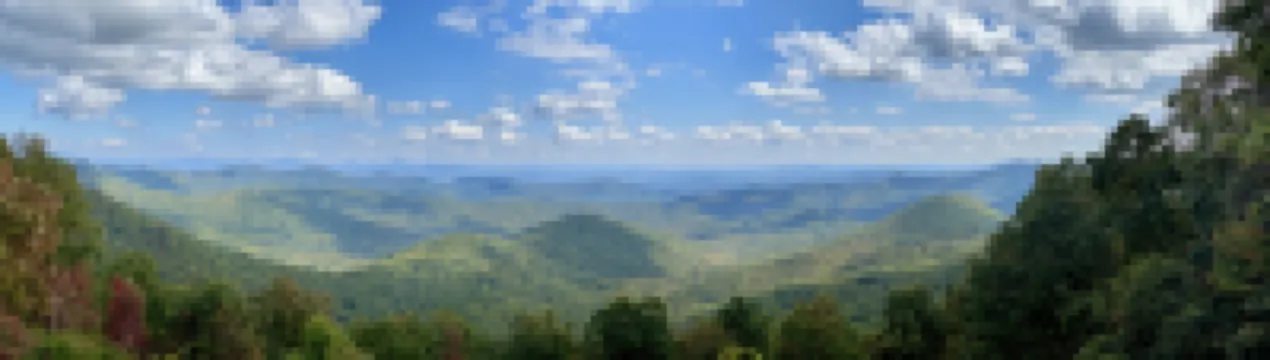 Luxurious Retreat w/Hot Tub by DuPont; mins to Pisgah, Brevard & Hendersonville