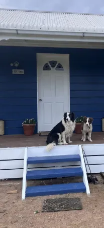 Cosy Pet Friendly Beach Cottage Отели в г. Голден Бич