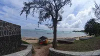 Allamanda Apartments - 100m Bain Boeuf Beach