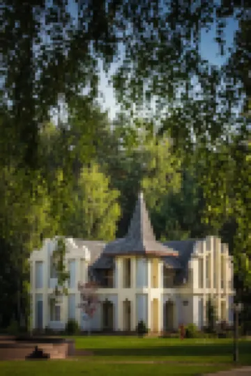 Festival Park Resort Hotels in 