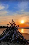 Rural Retreat - 5 mins from town and beaches - Homestays