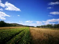 Wuyuan Muye Farm - Bjergudsigt