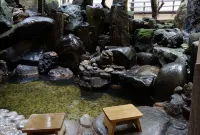 Ryokan Ohnuma - Hot Springs
