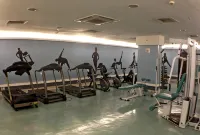 Slaviero São Paulo Downtown - Gym