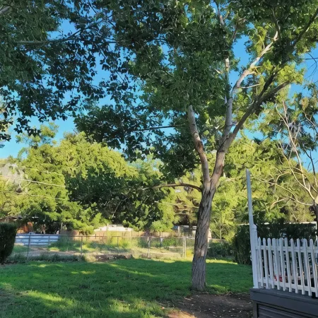 DE-stress in this quiet, serene cottage. Mountains, Horses, Verde River, Peace.