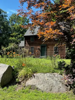 Home in the Woods - Big, Acreage, Nature Oasis, King Bed, Giant Windows - Homestays
