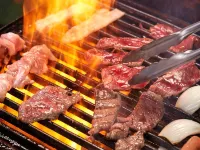 大月エコロジーキャンプ場 大月町のホテル