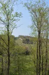 Newly renovated, hot tub and 1 mile from town, across from Holimont! - Hytter