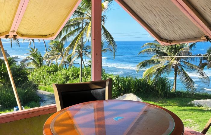 Little Diamond Jungle Home, Panoramic Ocean Views, 2 Verandas &Tropical Garden