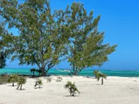 BRAND NEW Beachfront Villa best sandy beach in TCI with pool Fox Tail Palm Villa - Beach