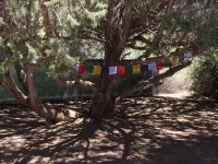 Casa Retreat~ In the heart of Sedona, close to food, hikes and fun! - 2-Star