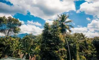 Thomasz Lodge - B&Bs (Bed and breakfast)