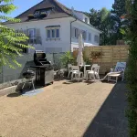 Colmar Petit Jardin de la Semm 6 to 10 Persons, Closed Private Parking, Air Cond. - ห้องครัว