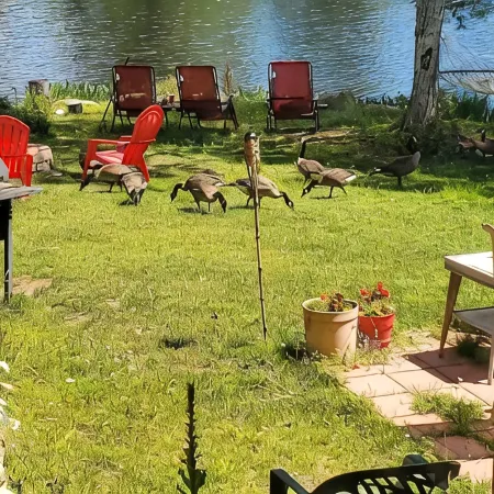 Balsam Point Lakehouse · Indian Lake Adirondacks · Waterfront on Lake Abanakee