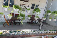 Green Garden House - Bed and Breakfast