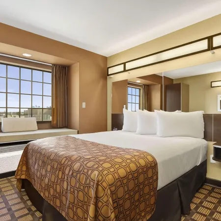 Microtel Inn & Suites by Wyndham Buda Austin South