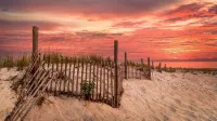 Beach Haven Long Beach Island - Wifi