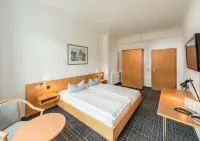 City Hotel - Pet friendly