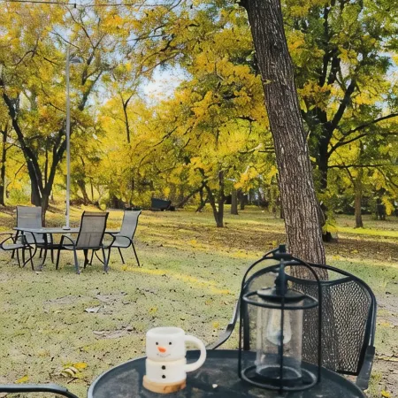 Cottage Casita on an Orchard. No parties nor gatherings.