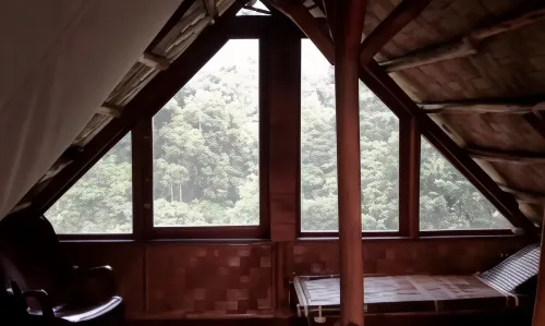 回到自然生態旅館 - Wi-Fi