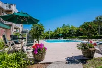 Totally renovated on beach, with pool, and bikes - Beach