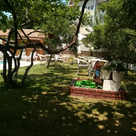 Grandma's Garden