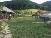 Gospodaria Lui Nea Ion - Villas