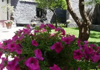 La Durlindana B&B - 3-Star