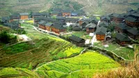 Longji Rice Terraces Shili Daoxiang Homestay - إقامة ريفية