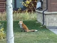 Jackson Hole condo in the Aspens. A retreat close to Nat. Parks & JHMR, King Bed - Wifi