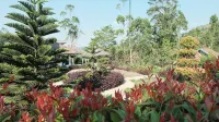 Singgasana Cipelah Syariah_The Origin - Bintang 3