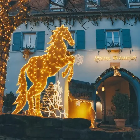 Hotel Domhof