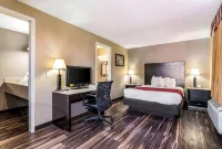 Econo Lodge Pocomoke City Hwy 13 - piscina