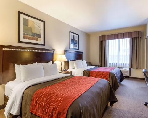 Comfort Inn & Suites - Wifi