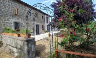 B&B Paternocchio