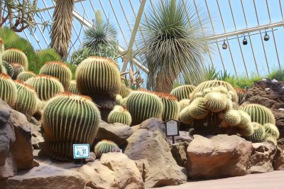 その他 星野リゾート 界 アンジンの写真