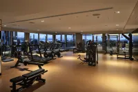 Park Hyatt Auckland - Gym