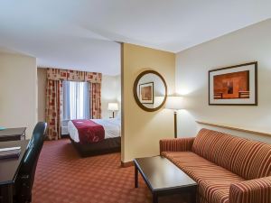 Comfort Suites Salem-Roanoke I-81