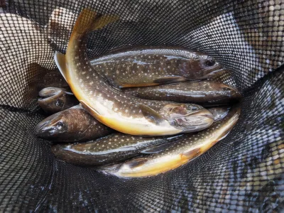 Komakusa Hotel in zona JR Shimo-Yuzawa station