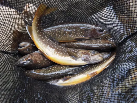 Komakusa Отели в г. Юдзава