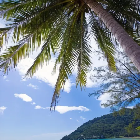 Aava Resort and Spa