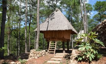 Sagada Heritage Village