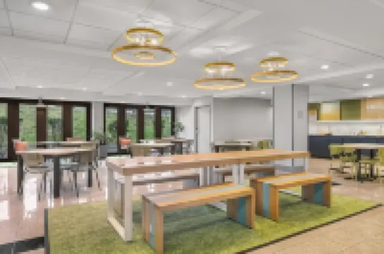 Spark by Hilton Winchester