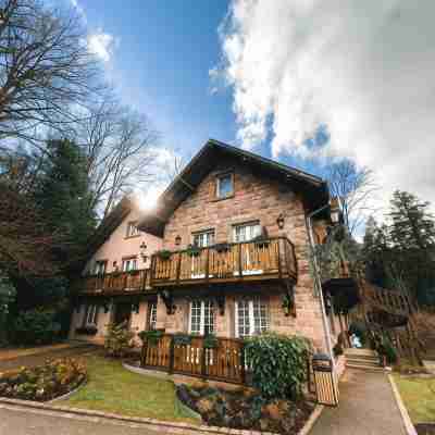 Hôtel & Spa Les Violettes en Alsace Hotel Exterior