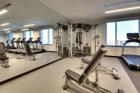 The Rose Hotel Chicago O’Hare, Tapestry Collection by Hilton Hotels in Schiller Park