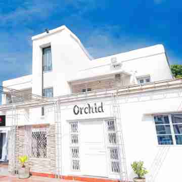 Hotel O Orchid Guest House Hotel Exterior